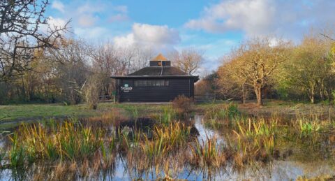 Foto van de vijver voor het Parnassia gebouwtje in de herfstzon.