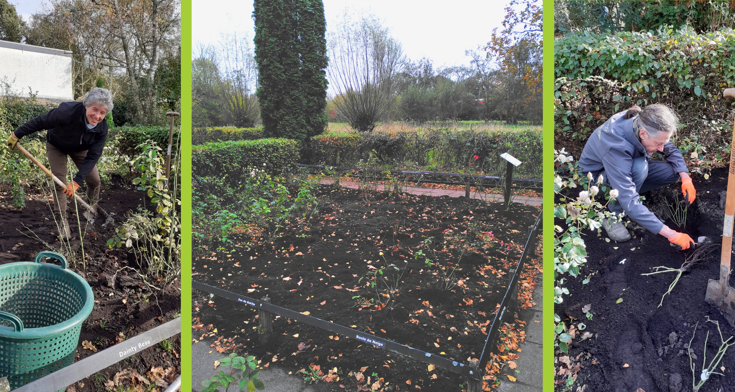 Werk in de rozentuin van de kruidentuin in de Rekerhout