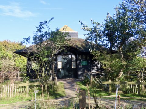 Rietgedekte houten huis met bomen voor de ingang en een blauw lucht op de achtergrond.