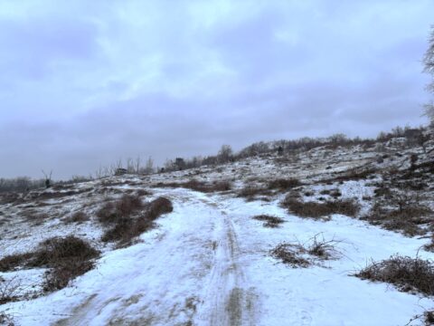 Sneeuwbedekte heuvels met een kronkelend pad, kale bomen en een bewolkte lucht.