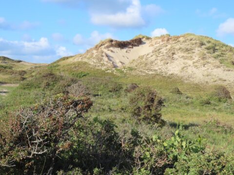 Zandduinen met begroeiing onder een blauwe lucht met enkele wolken.