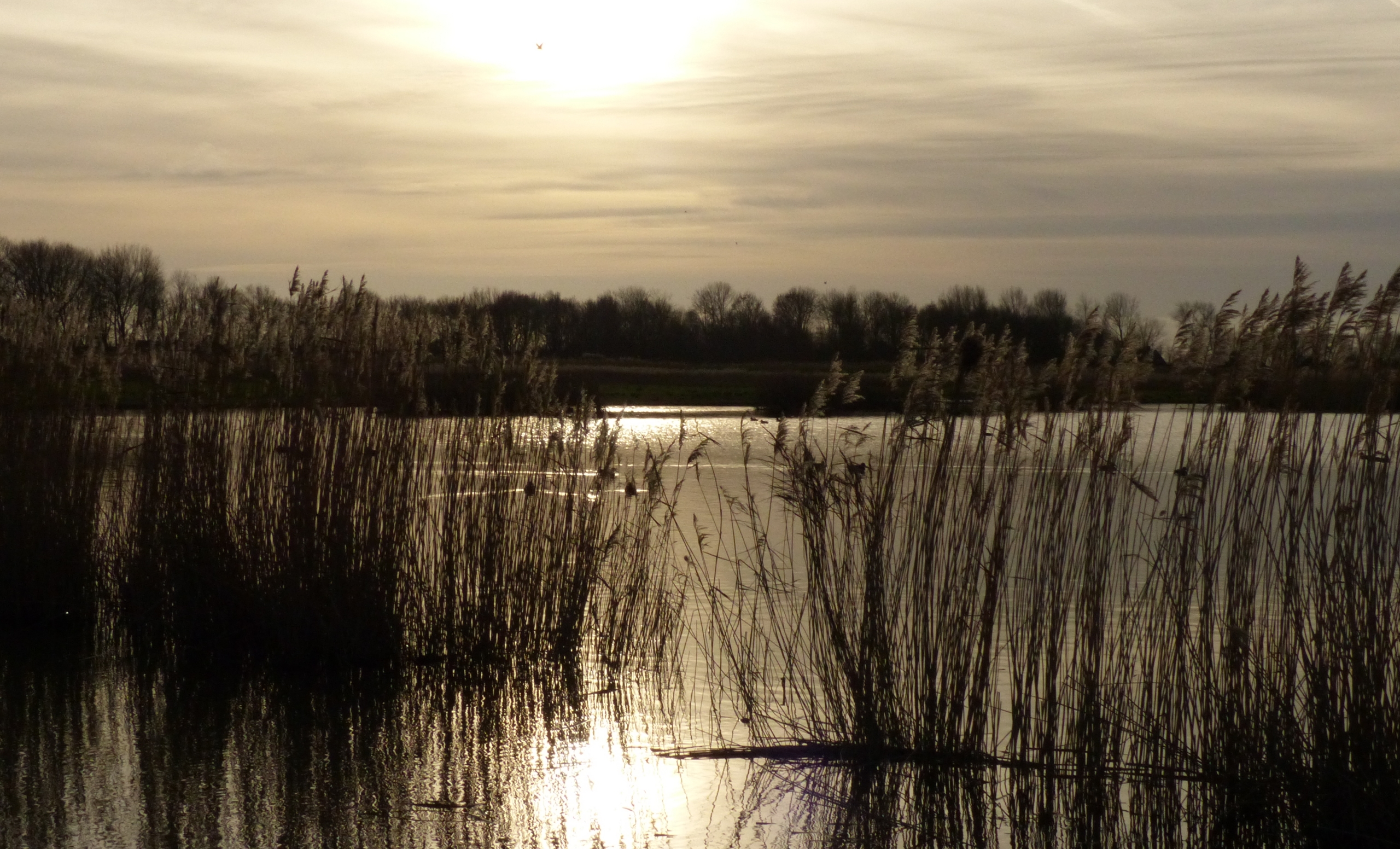 Zakkende zon over water van Geestmerambacht
