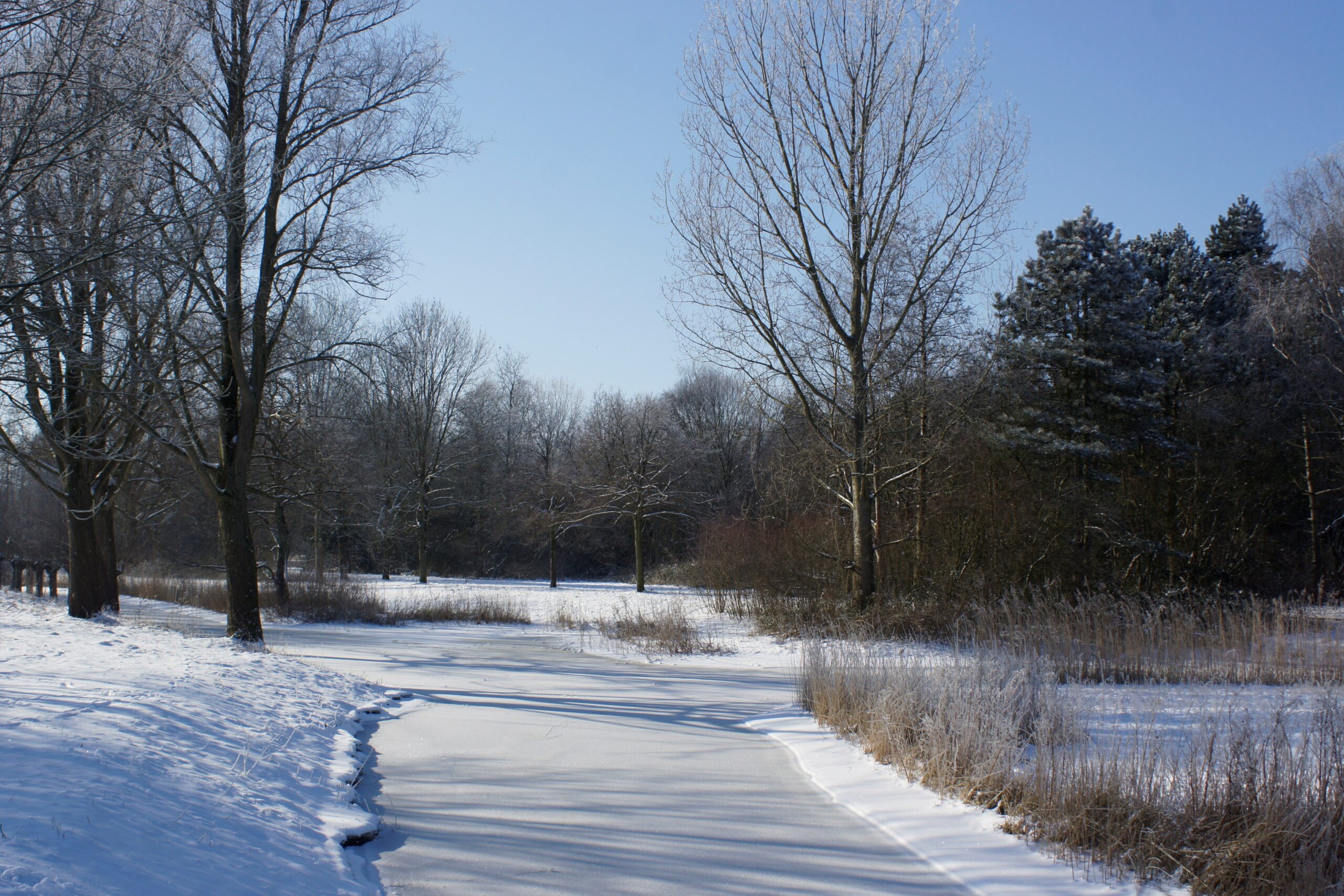 Besneeuwd landschap met bevroren sloot en bomen zonder bladeren onder een heldere blauwe hemel.