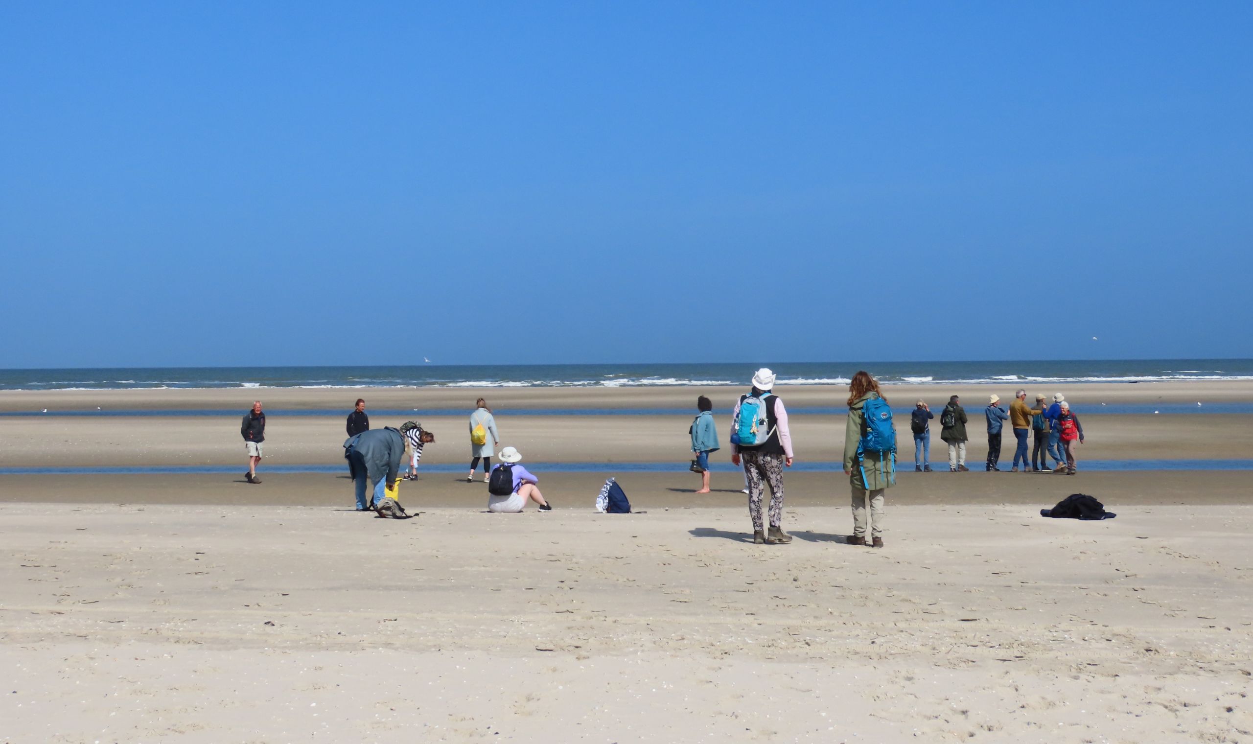 Groep natuurgidsen in opleiding op het strand van Texel