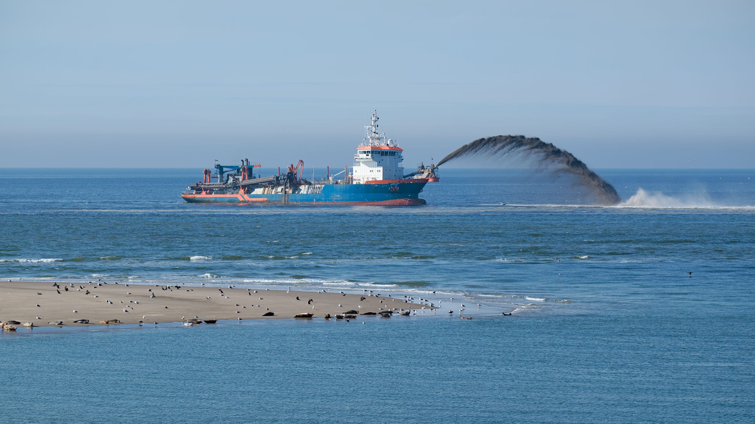 Zandsuppletie bij Camperduin met zeehonden op tijdelijke zandbank