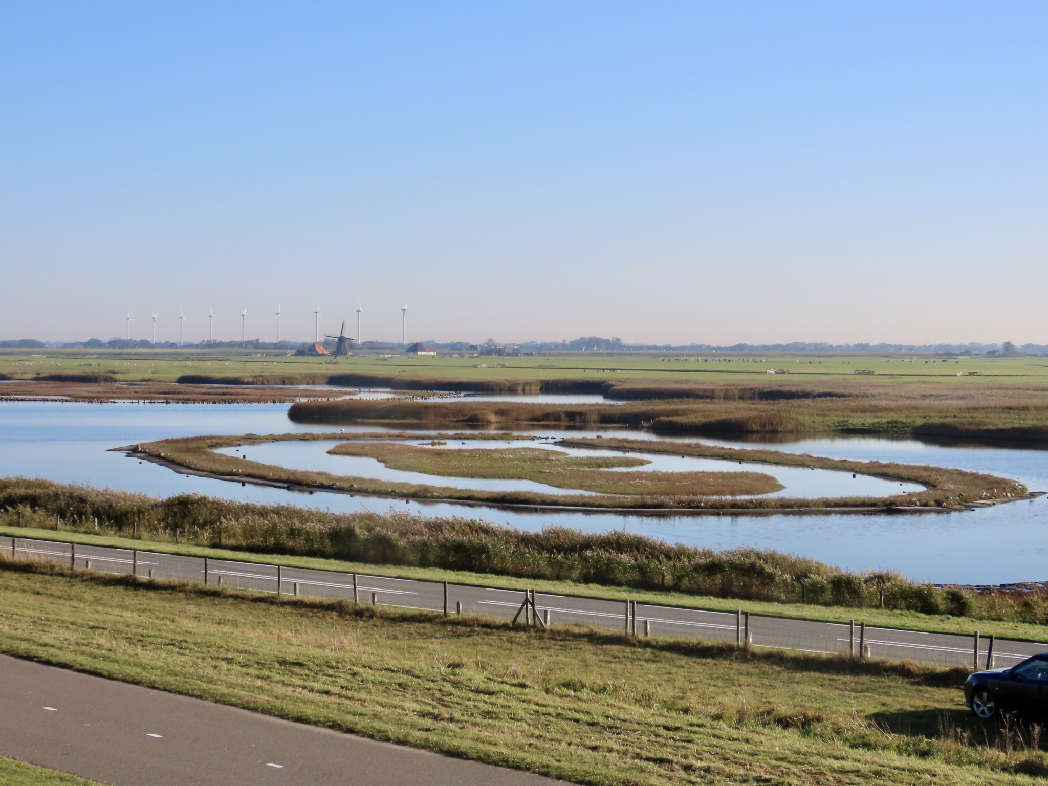Landschap met waterpartij, windmolens en molen op de achtergrond, gras en weg op de voorgrond.