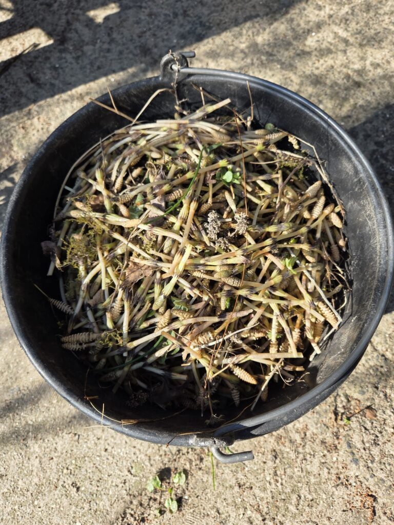 Een emmer gevuld met gedroogd plantenmateriaal op een betonnen ondergrond.
