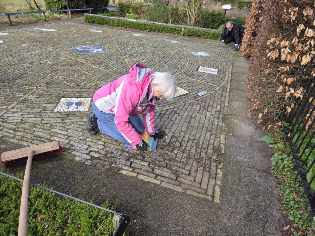 Twee personen wieden tussen stenen in een betegeld pad met mozaïeken, omgeven door heggen.