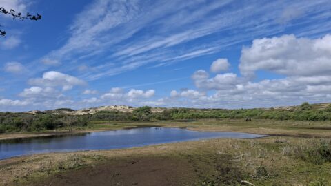 Open landschap met een plas water, omringd door groen en zandduinen onder een hemel met wolken.