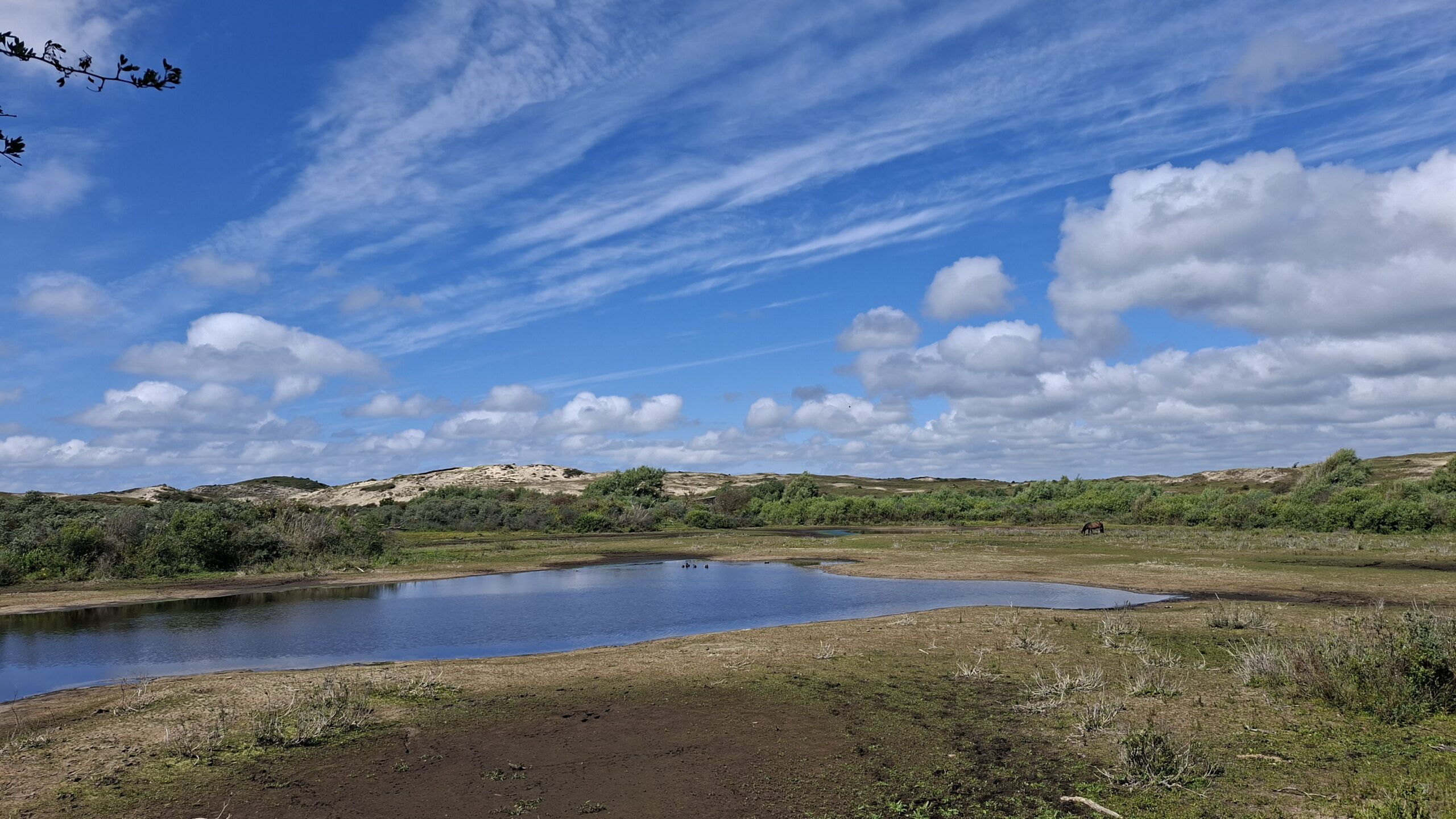Open landschap met een plas water, omringd door groen en zandduinen onder een hemel met wolken.