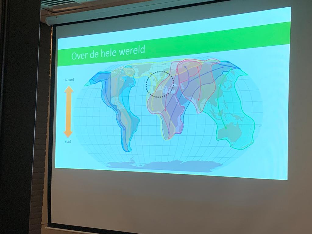 Projectiescherm met wereldkaart, kleurrijke overlappende vormen en tekst "Over de hele wereld".