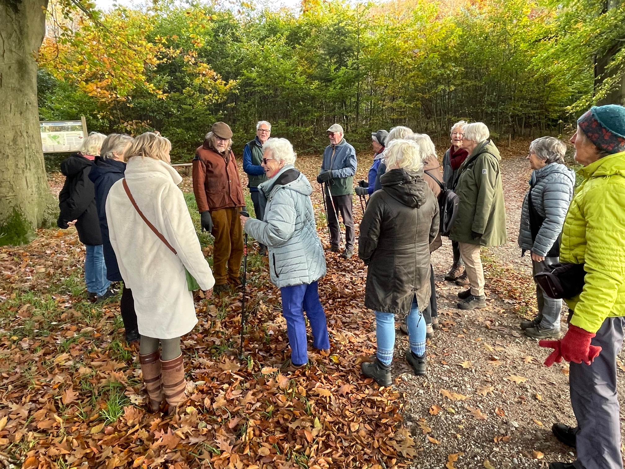 Een groep volwassenen verzamelt zich op een herfstige bosgrond.