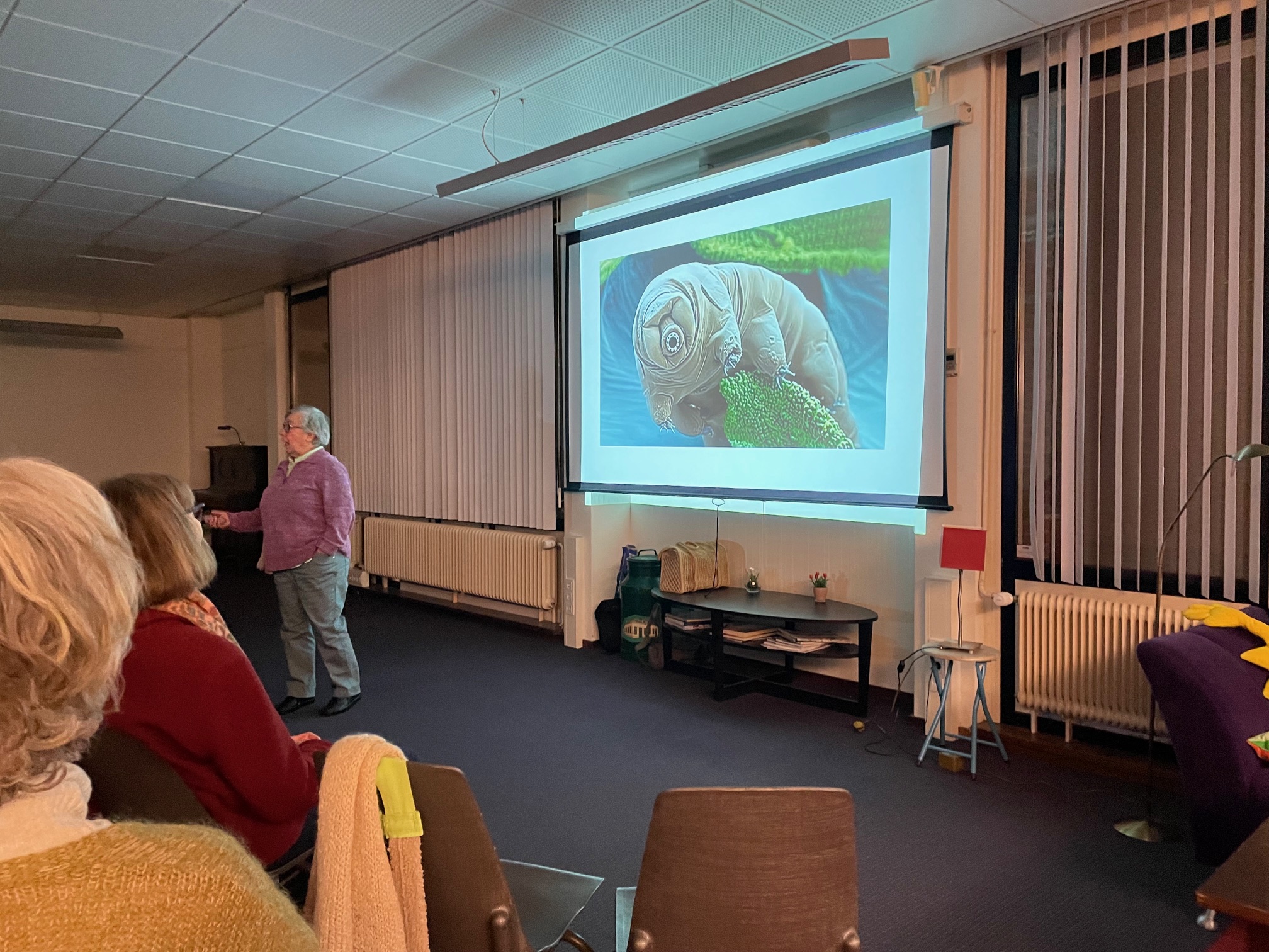 Man presenteert over een beerdiertje voor publiek in een conferentieruimte.