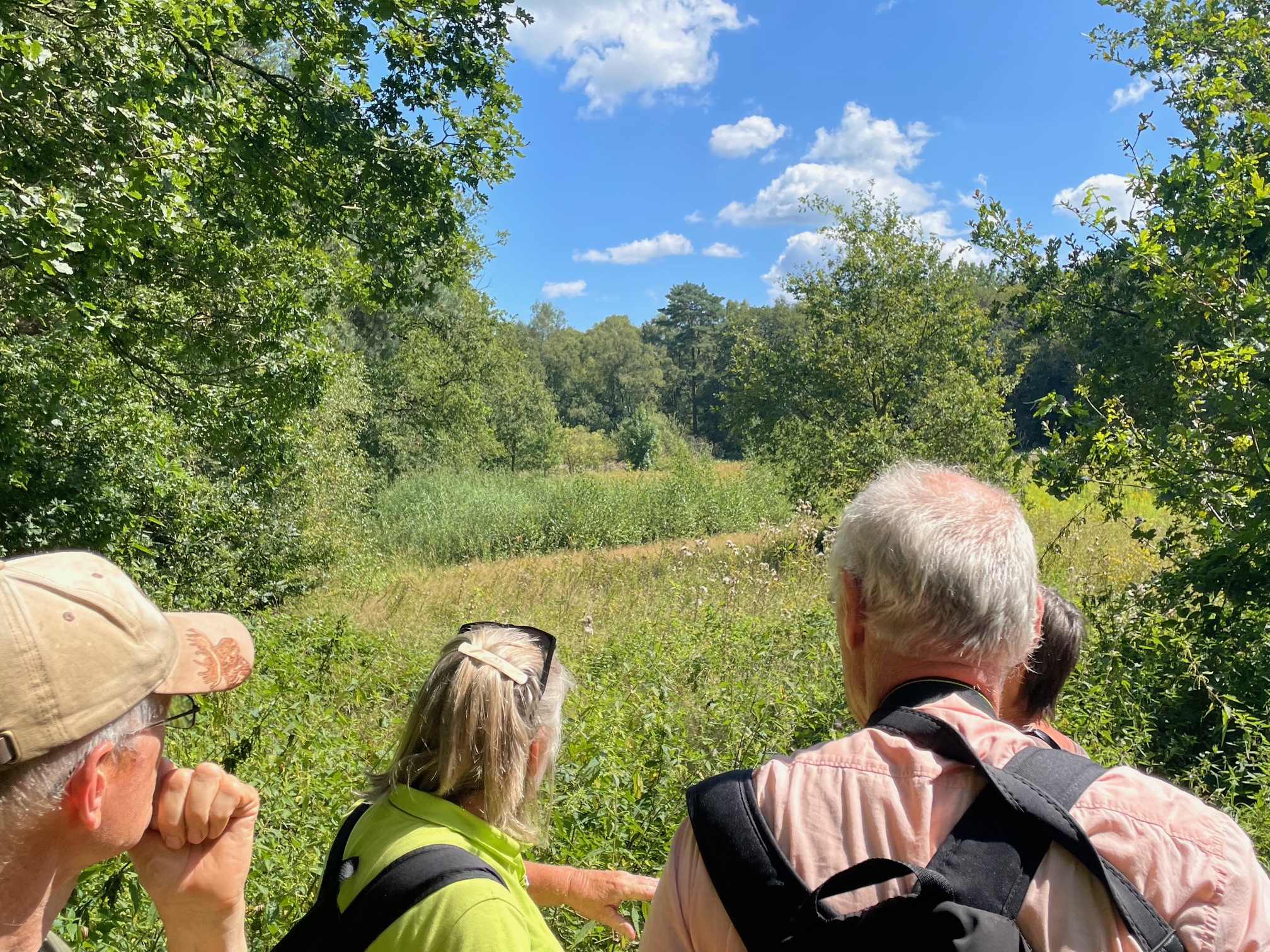 Mensen wandelen in een groene bosrijke omgeving onder een blauwe lucht met wolken.