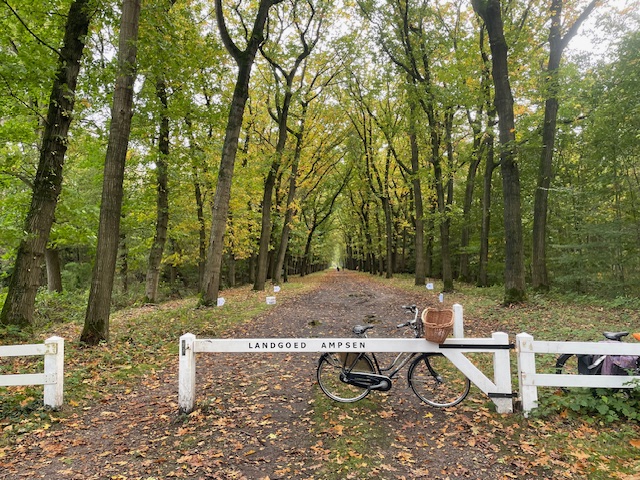 Fietspad door bos bij toegangshek Landgoed Ampsen; fiets tegen hek.