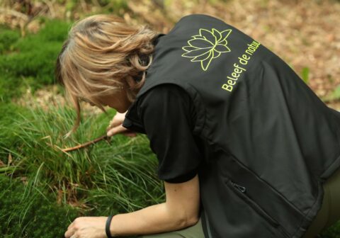 Persoon onderzoekt planten in een bos, draagt een vest met "Beleef de natuur" erop.