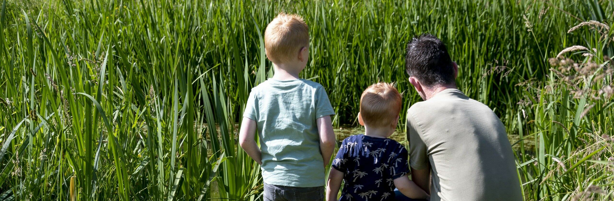Twee kinderen en een volwassene bekijken gras in een groene, natuurlijke omgeving.