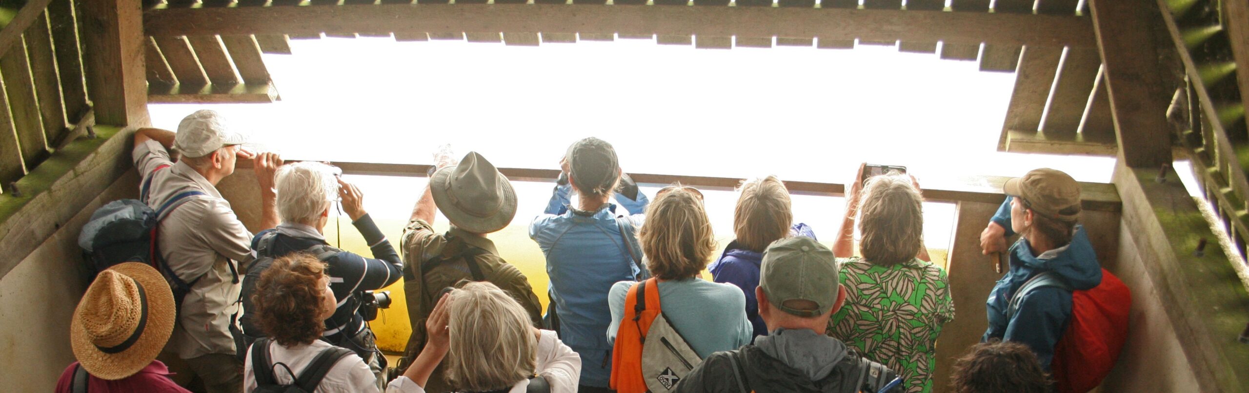 Groep mensen kijkt vanuit een houten vogelkijkhut naar buiten.