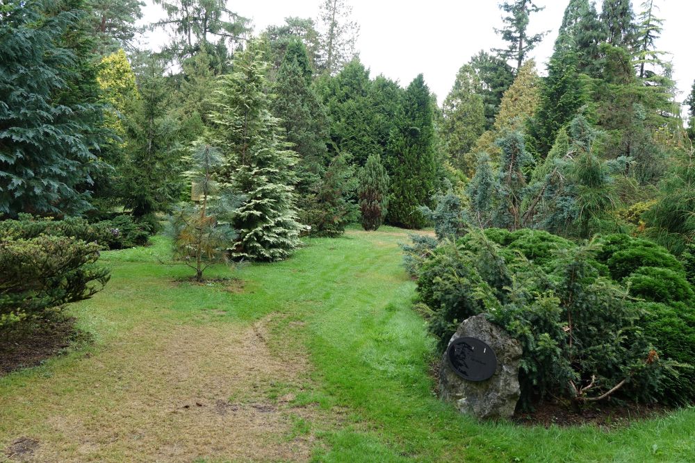 Groen parklandschap met diverse struiken, bomen en gras, en een verweerd bord op een steen.