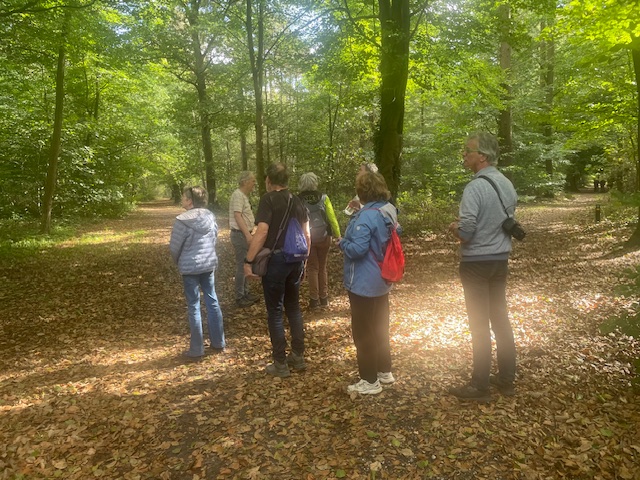 Een groep mensen wandelt in een zonnig bos met bladeren op de grond.