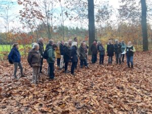 Groep mensen op herfstige boswandeling, omringd door gevallen bladeren en bomen.