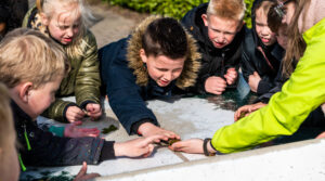 Groep kinderen onderzoekt object op tafel buitenshuis, met nieuwsgierige gezichtsuitdrukkingen.