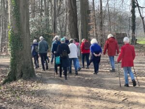 Groep mensen wandelt door een bos, op een zonnige dag, zichtbaar zijn bomen en een zanderig pad.