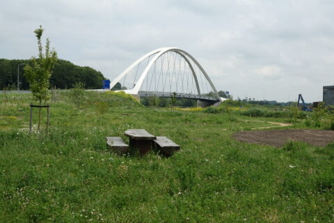 Groen park met picknicktafel, moderne boogbrug op achtergrond, lichte wolkenlucht.