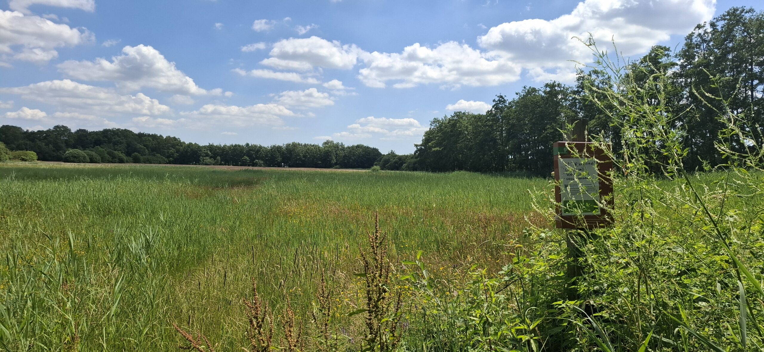 Weids groen veld onder een blauwe hemel met enkele wolken, rechts een bord omgeven door struiken.