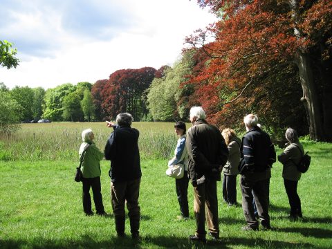 Werkgroep wandelingen