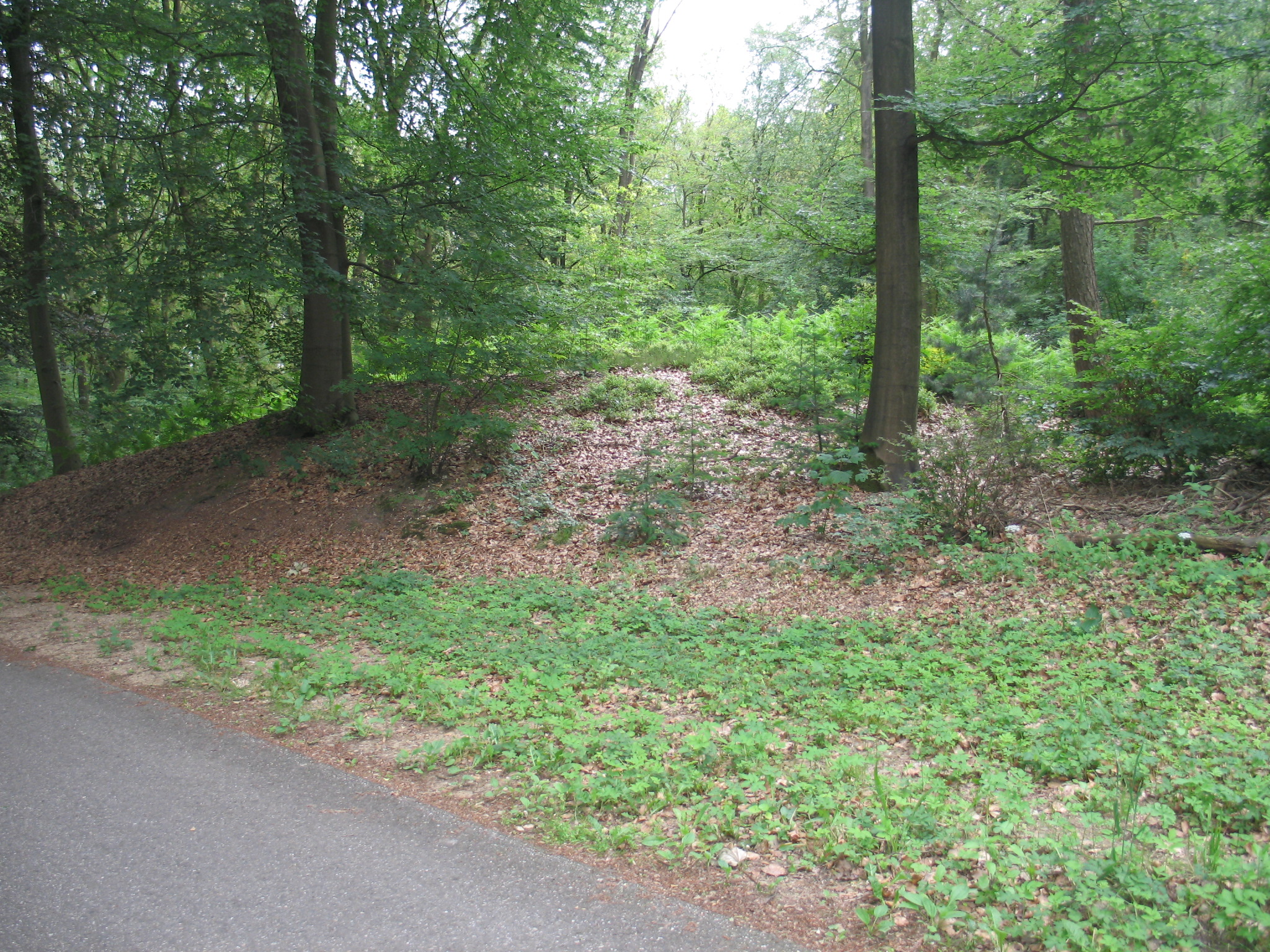 grafheuvel Ritzema Bosweg