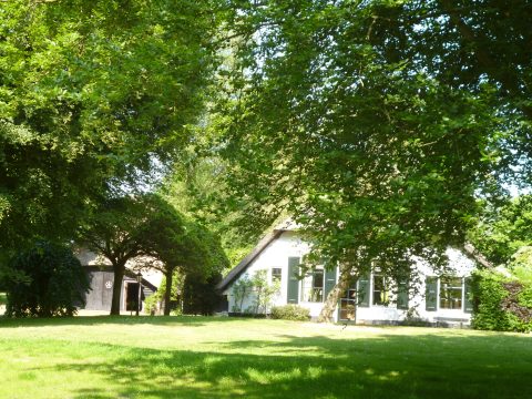 Jonge Stee Vierhouten