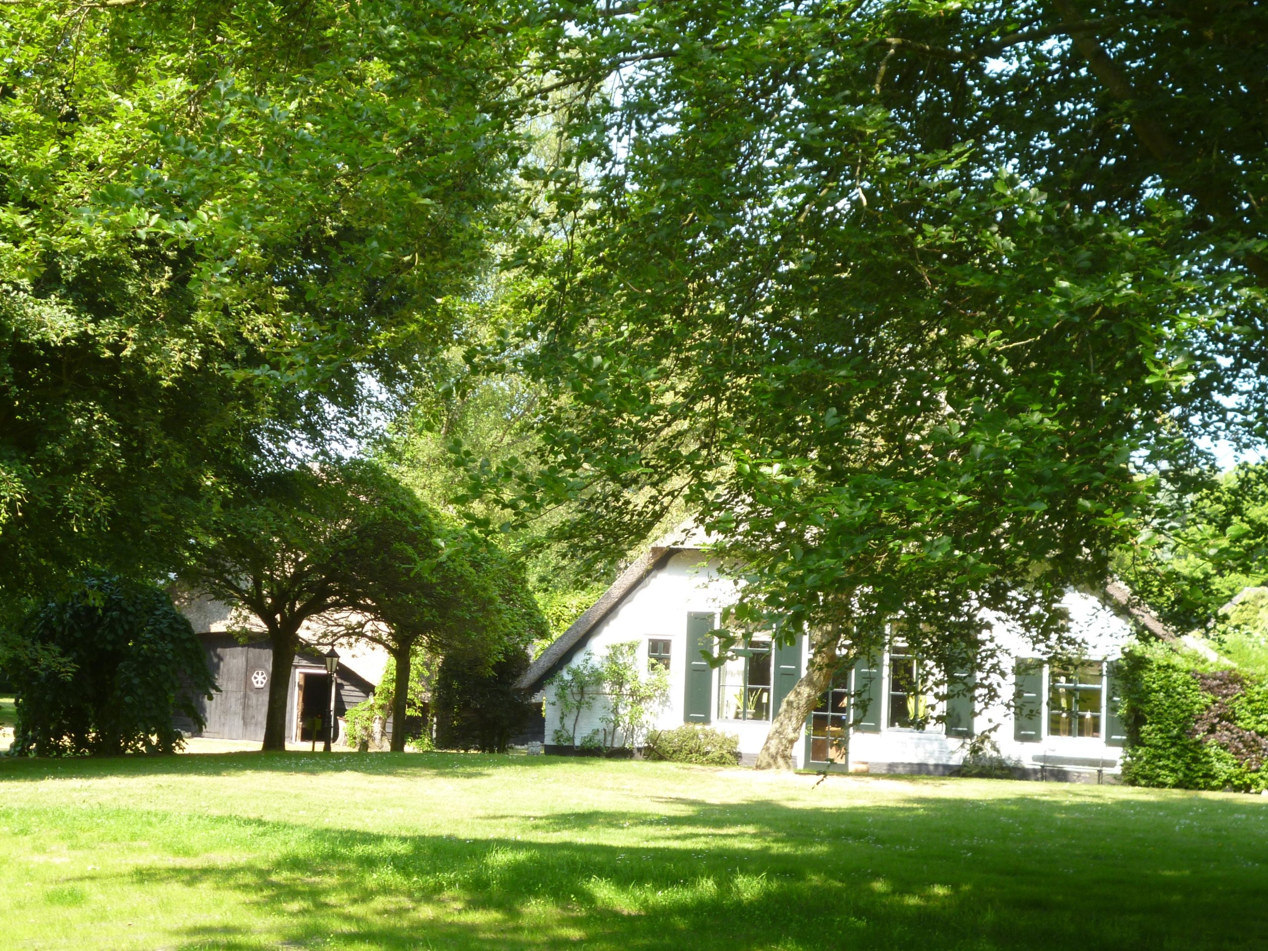 Jonge Stee Vierhouten