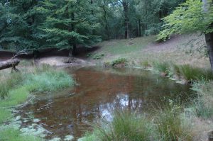 Stadshoudersleemkuil