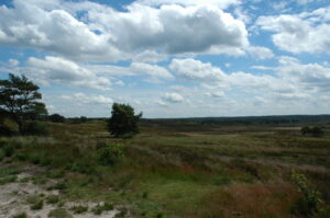 Asselse Heide
