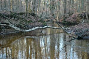 Hierdense Beek