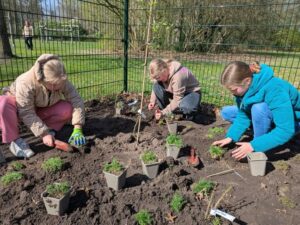 aanleg voedselbos pr beatrixschool