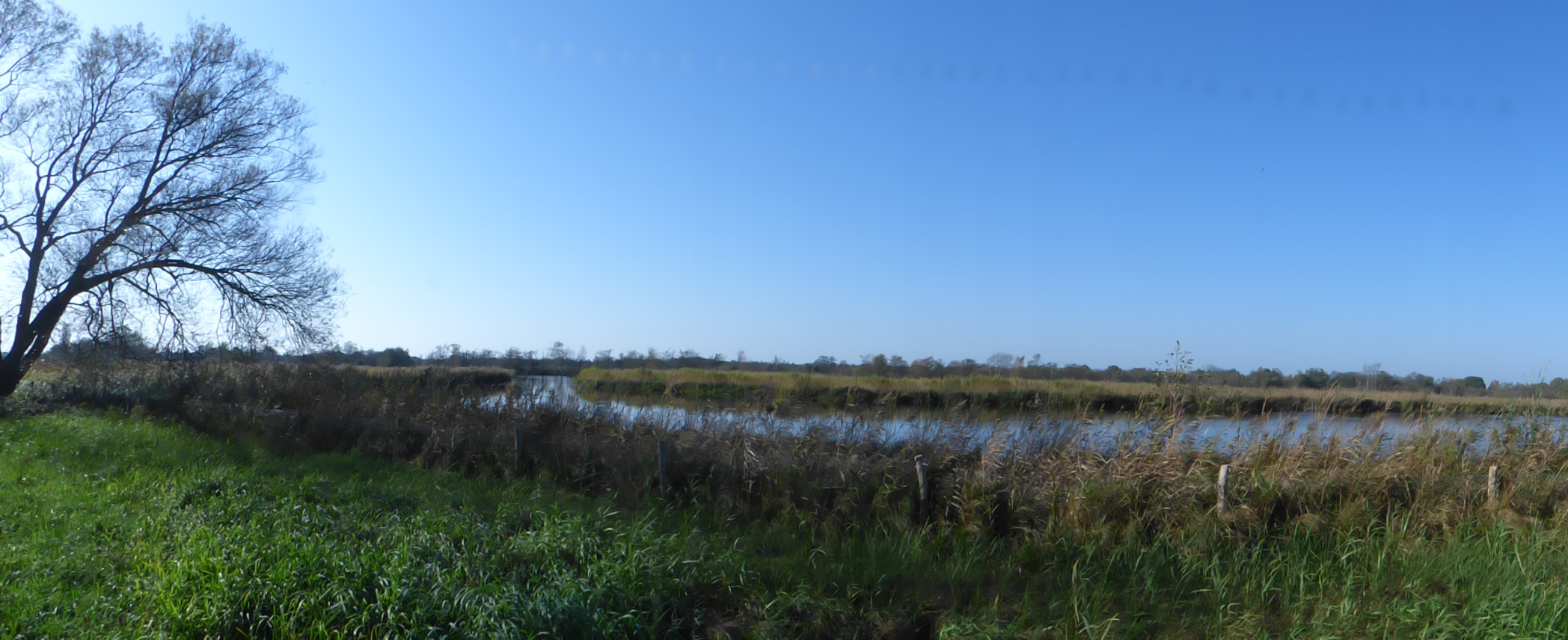 Een landschap met een boom links, een blauw meer in het midden en een heldere lucht.
