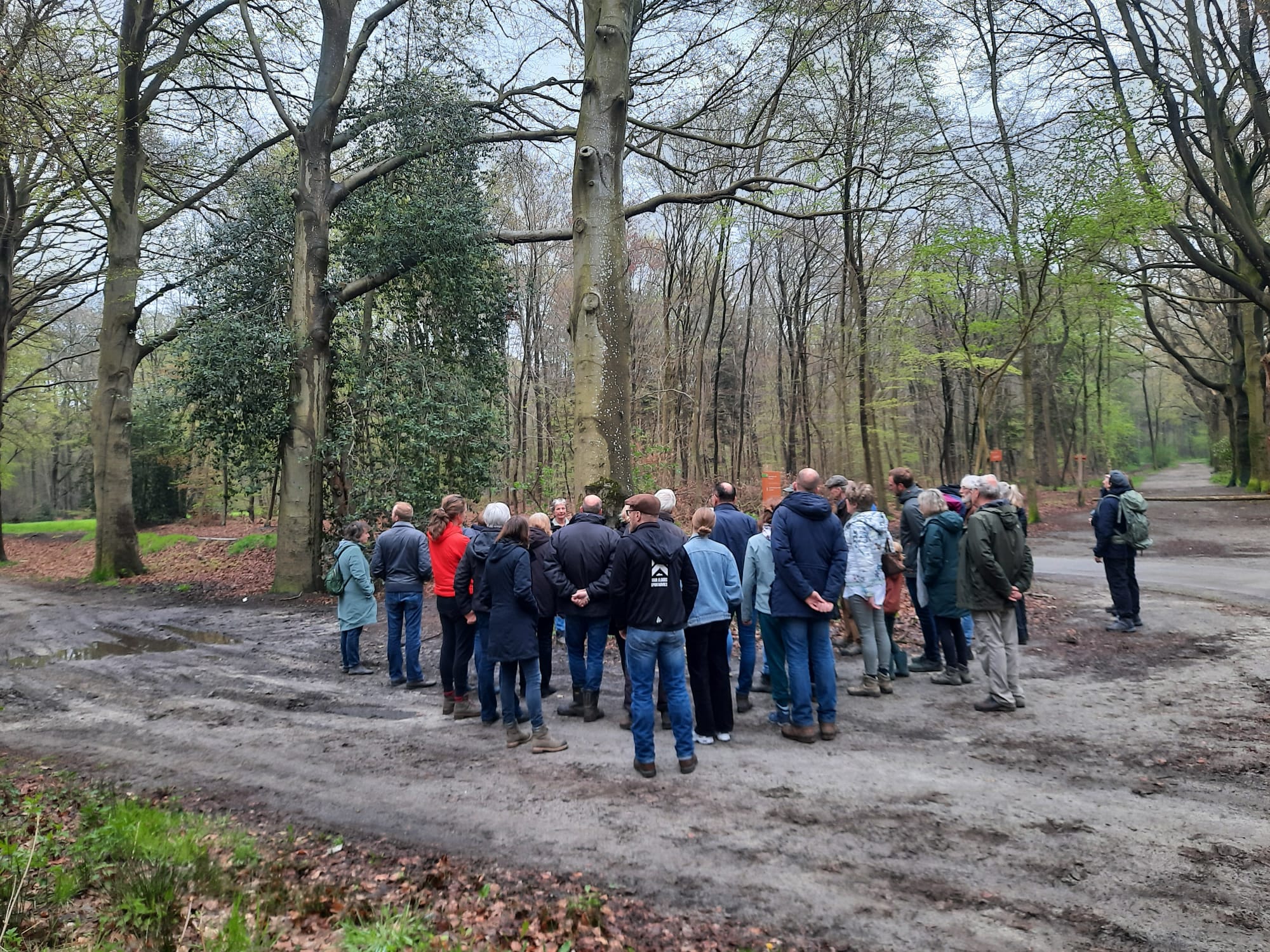 Een groep mensen staat in een bos, luisterend naar een gids.