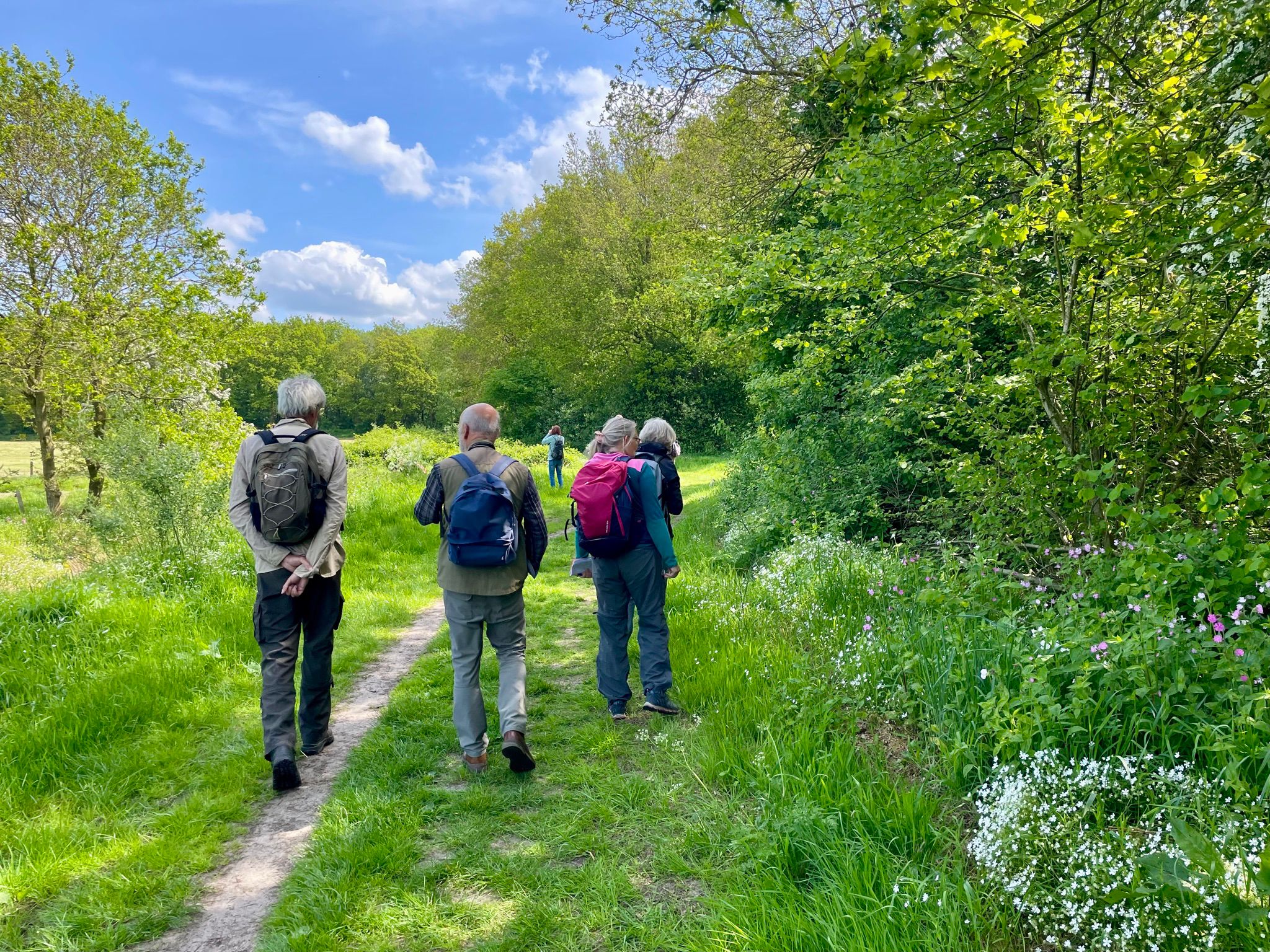 Groep wandelaars met rugzakken in een groen bos met bloemen en een blauwe lucht.
