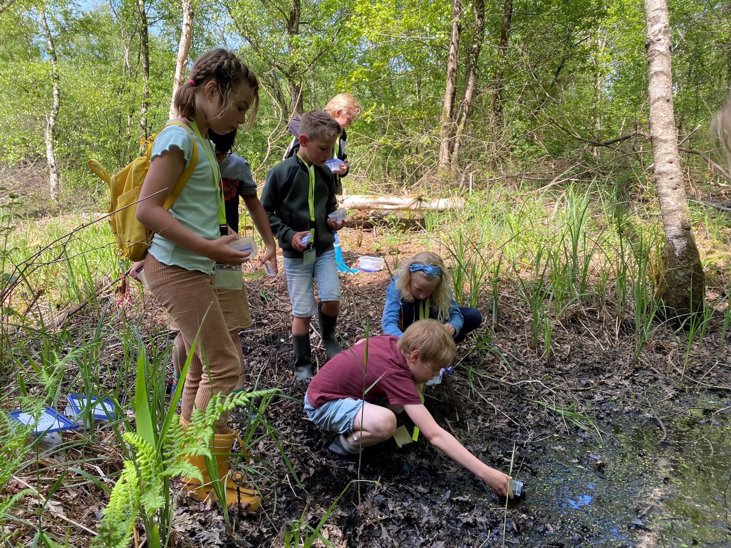 Groep kinderen verzamelt watermonsters in een bosrijke omgeving nabij een kleine vijver.