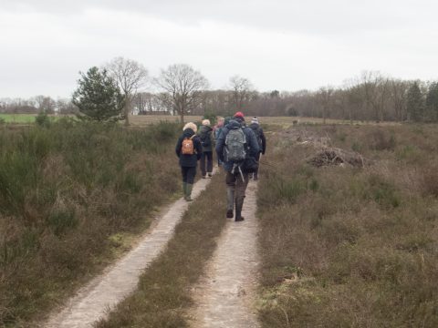 Een groep mensen wandelt over een pad in een bosrijk en heideachtig landschap.