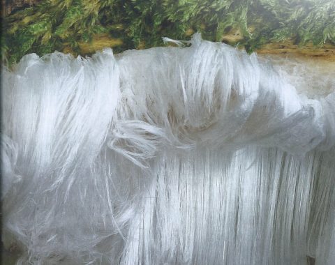 IJshaar op een boomstam met mos, met fijne, witte, vezelige ijsstructuren groeiend in koude lucht.