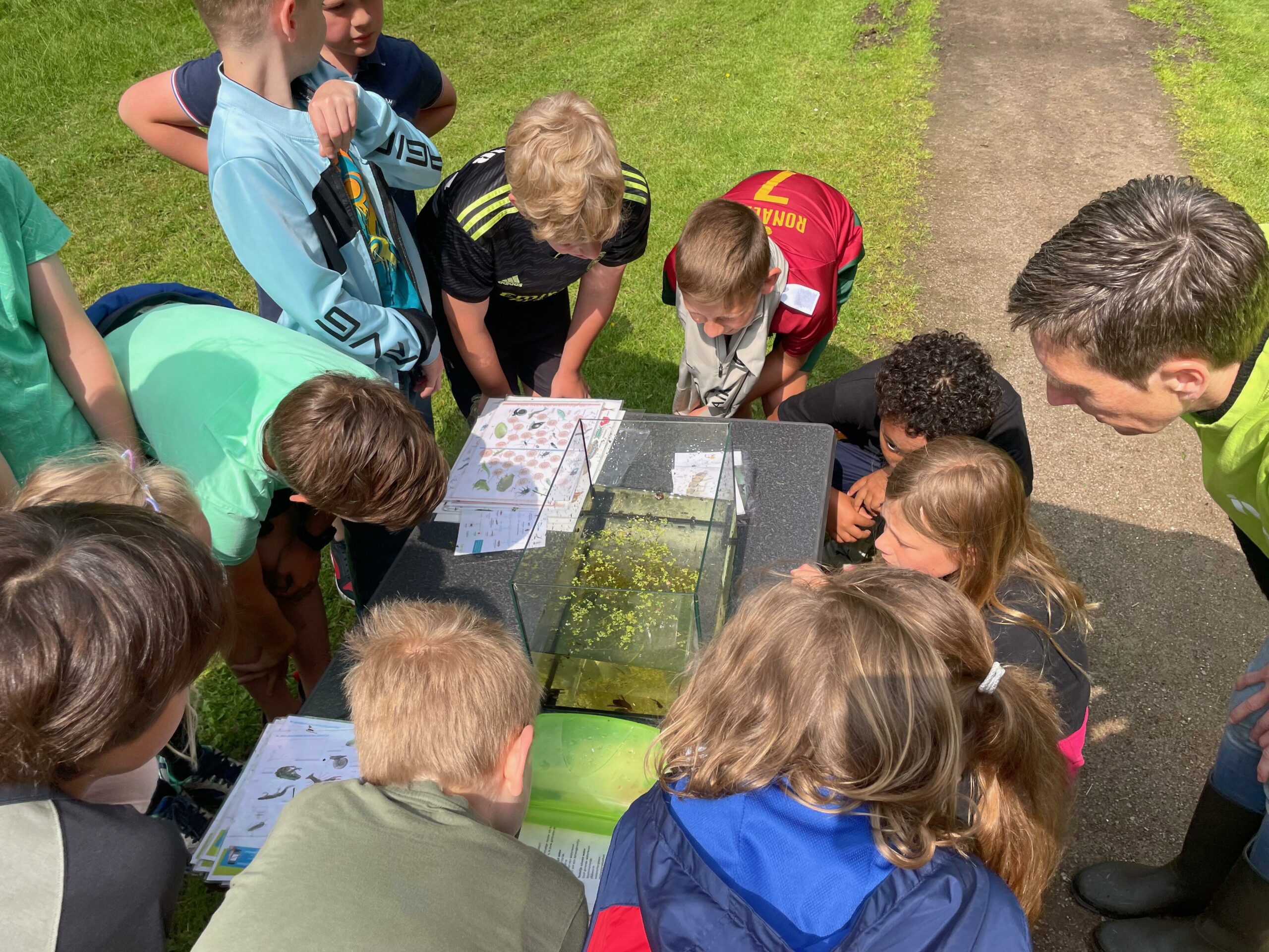 Groep kinderen bestudeert een aquarium buiten op gras met hun leraar.