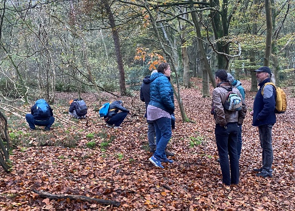Groep mensen in herfstbos, sommigen gehurkt, anderen staan, omgeven door gevallen bladeren.