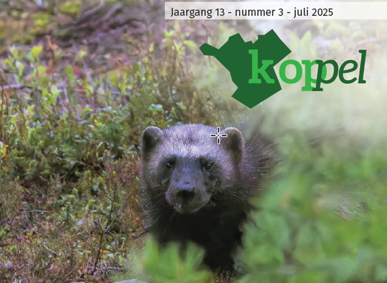 Eekhoorn op een kleurrijke bosgrond, met bladentekst en een koptekst: "Jaargang 13, nummer 3, juli 2025."