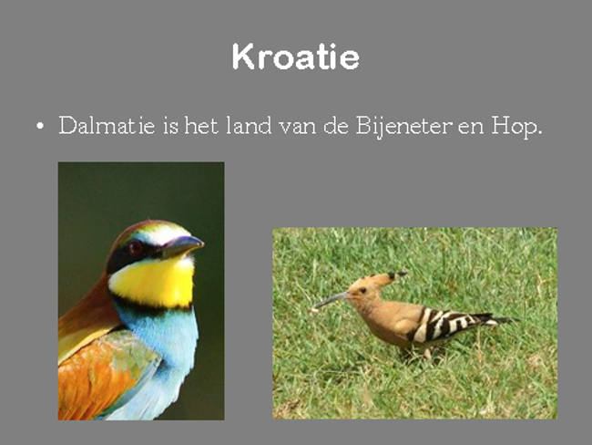 Kroatië: Dalmatie met afbeeldingen van een bijeneter en een hop.