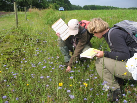 Twee personen onderzoeken bloemen in een grasveld met boeken in hun hand.