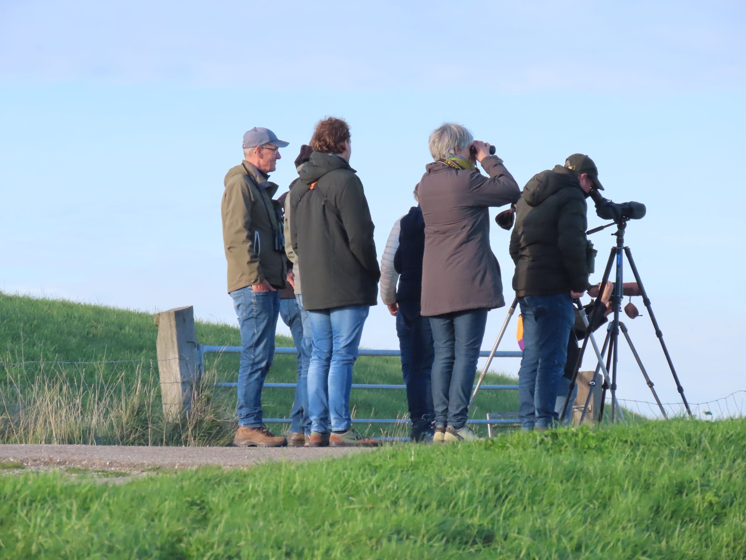 Groep mensen kijkt naar vogels met verrekijkers en een telescoop op een groene dijk.