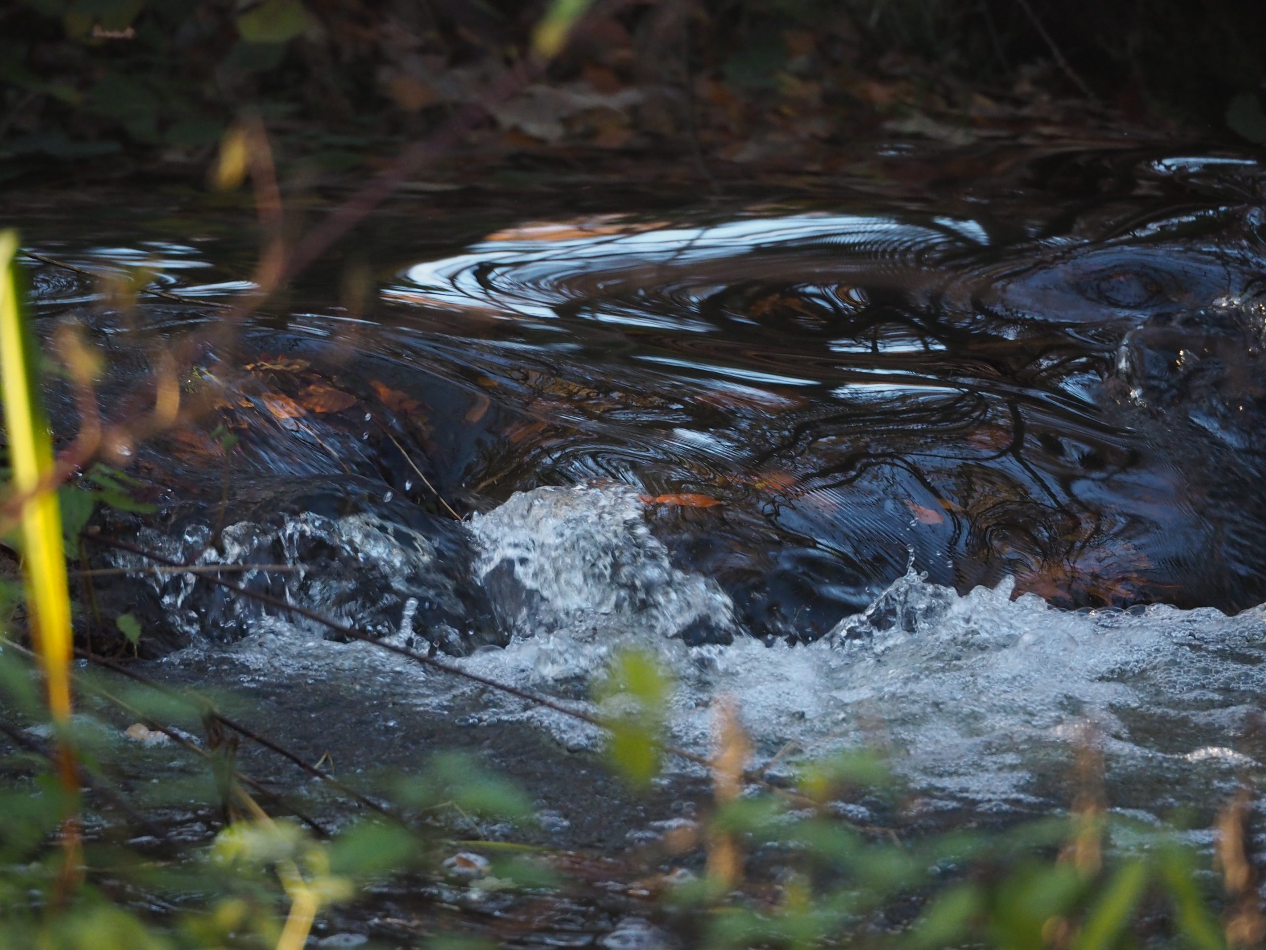 Water-LA-Oirschot
